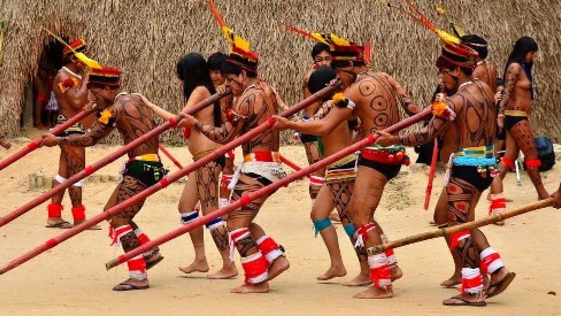Índios Guaranis Os Verdadeiros Dono Do Brasil Cultura Em Movimento 8958