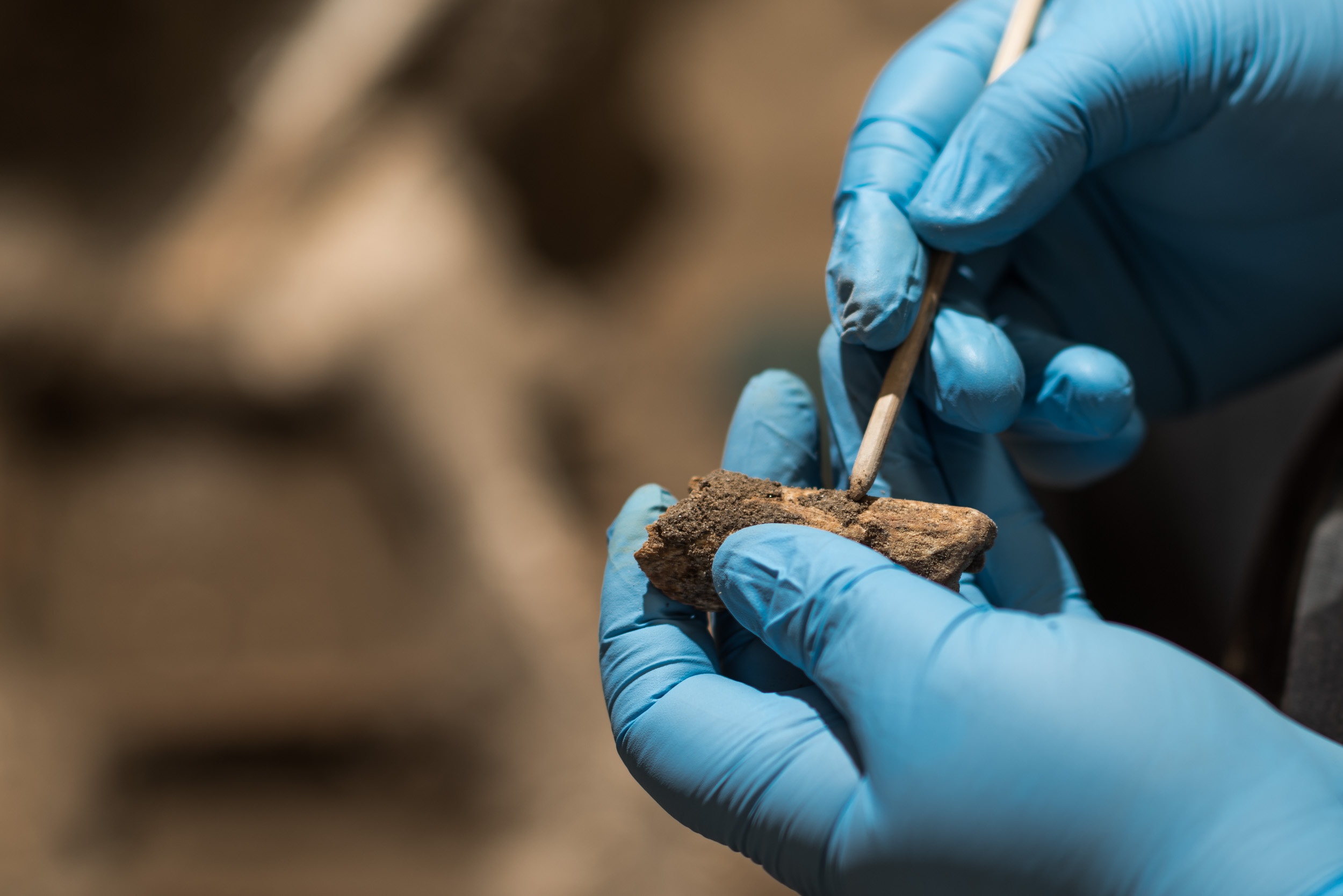 Instituto de Pesquisa e Memória Pretos Novos celebra anos da descoberta do Sítio Arqueológico