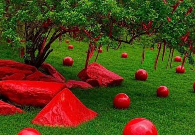 Primeira Mostra de Jardins do Vale do Café e Vale das Videiras abre propriedades privadas ao público na primavera Primeira Mostra de Jardins do Vale do Café e Vale das Videiras abre propriedades privadas ao público na primavera